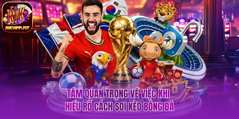 Tầm quan trọng khi bạn nắm rõ cách soi kèo bóng đá