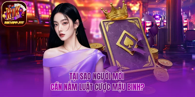 Lý do người mới cần nắm luật cược Mậu Binh?