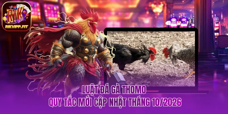 Luật đá gà Thomo